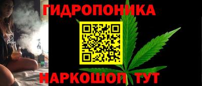 стаф Камышлов