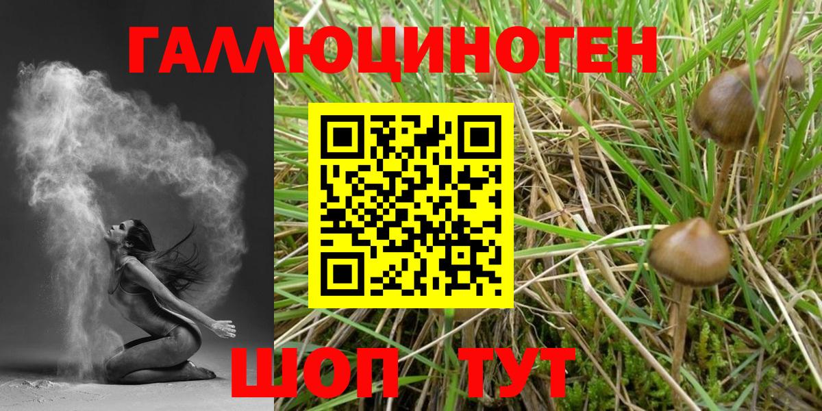 Липецк  Галлюциногенные грибы ЛСД  цены наркотик  Вход с VPN  Галлюциногенные грибы мицелий 
